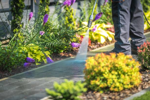 Best Patio and Deck Pressure Washing  in Flying Hills, PA